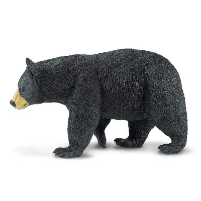 SAF112589 - Ursul negru american