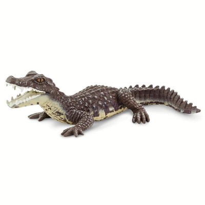 SAF100238 - Caiman