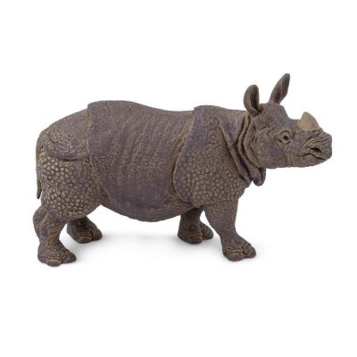 SAF297329 - Rinocer indian