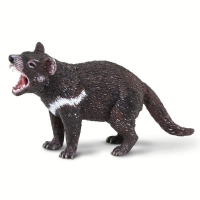 SAF100247 - Diavol tasmanian