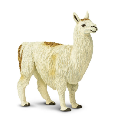 SAF227429 - Lama