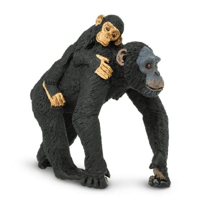 SAF295929 - Cimpanzeu cu pui