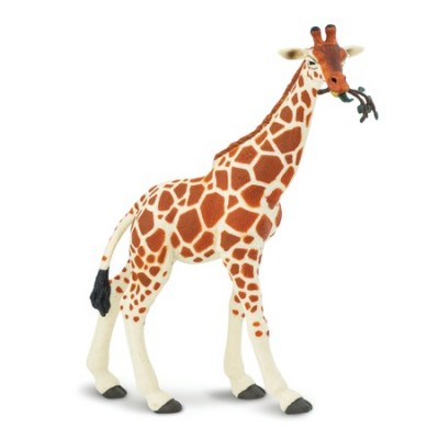 SAF268429 - Girafă somaleză