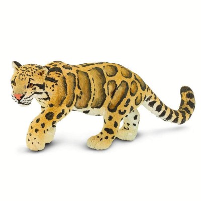 SAF100239 - Leopard pătat