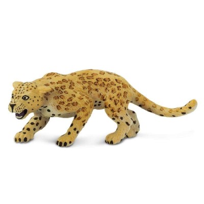 SAF271529 - Leopard