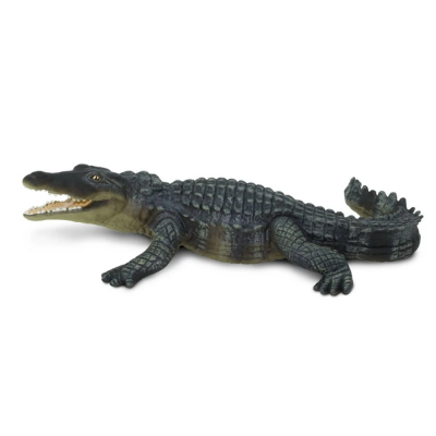 SAF272729 - Crocodil