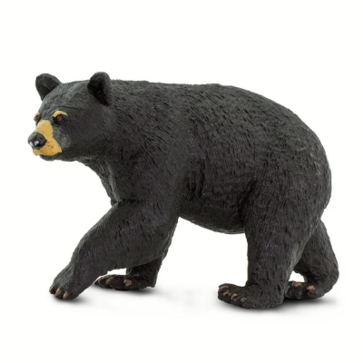 SAF273529 - Ursul negru american