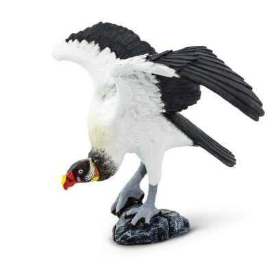 SAF100270 - Vultur regal