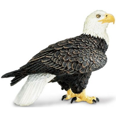 SAF291129 - Vultur pleșuv (vultur cu cap alb)