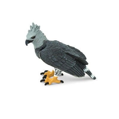 SAF150929 - Harpie (vulturul harpia)
