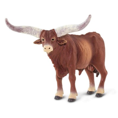 SAF100202 - Taur Watusi