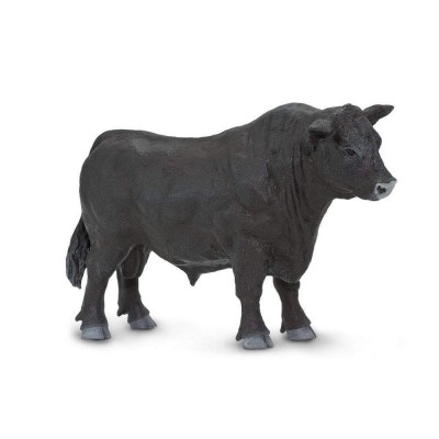 SAF160729 - Taur Angus