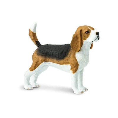 SAF254929 - Beagle