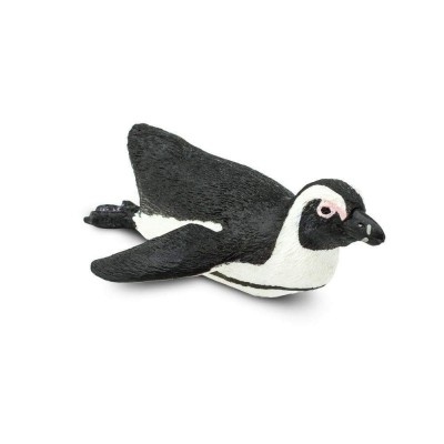 SAF220529 - Pinguin sud-african