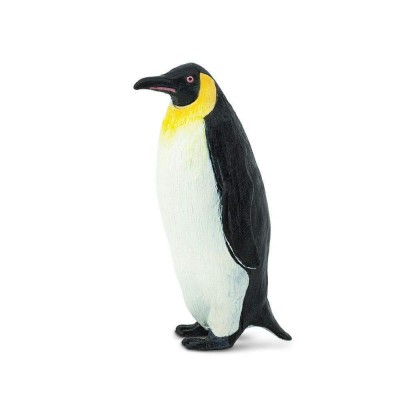 SAF276129 - Pinguin imperial
