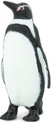 SAF276229 - Pinguinul Humboldt