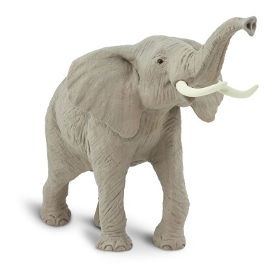 SAF111089 - Elefant african
