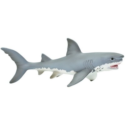 SAF275029 - Rechinul Marele Alb