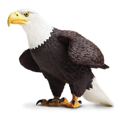 SAF251029 - Vulturul cu cap alb