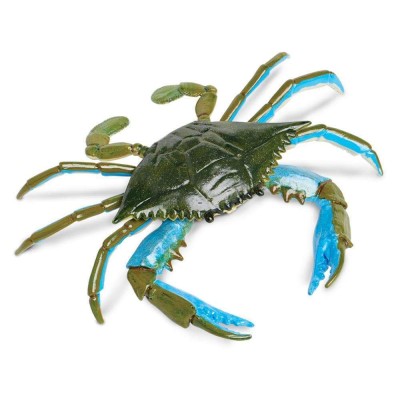 SAF269729 - Crab albastru