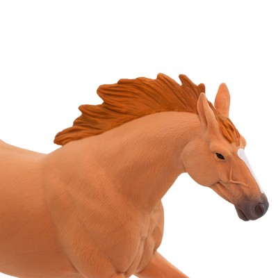 SAF151805 - Armăsar Trakehner