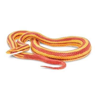 SAF100073 - Șarpe de porumb
