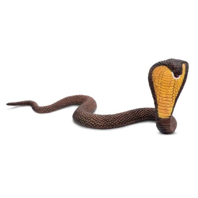SAF272629 - Cobra
