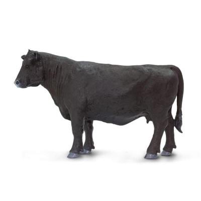 SAF160829 - Vacă Angus