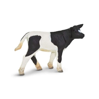 SAF232729 - Vițel Holstein