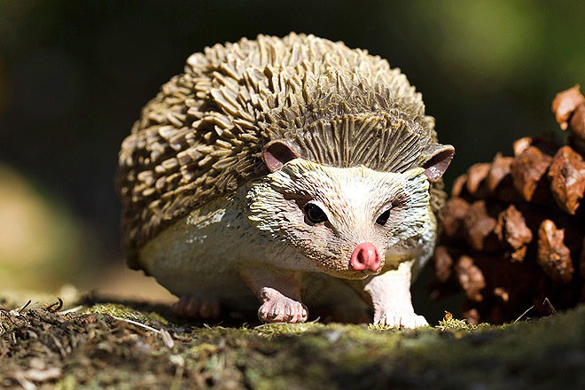 Animale sălbatice